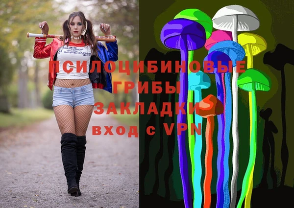 мет Пересвет