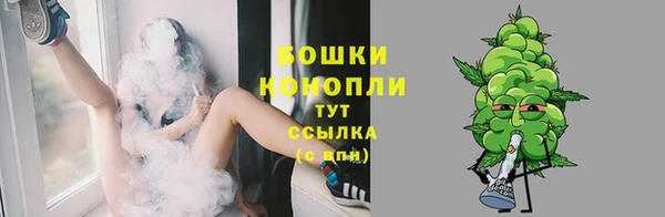мет Пересвет