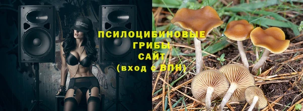 мет Пересвет