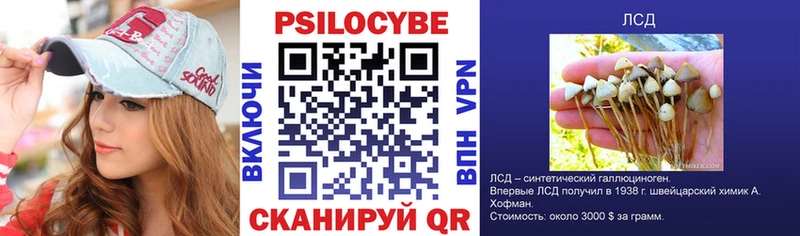 где купить   гидра онион  Галлюциногенные грибы Cubensis  Сусуман 